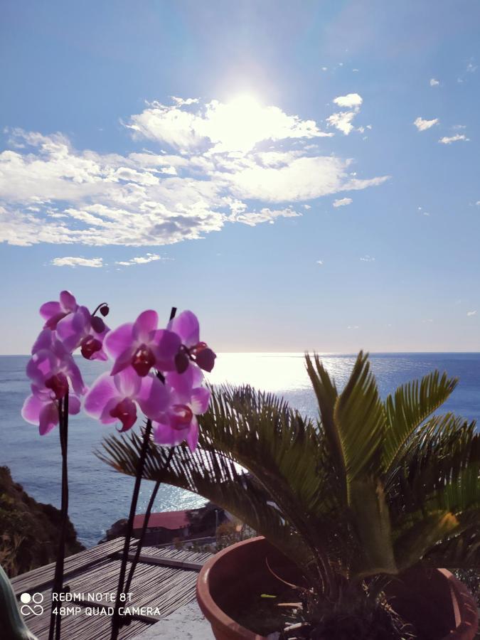 Casa Bianca Ischia Holiday home Sant'Angelo (Isola d'Ischia)