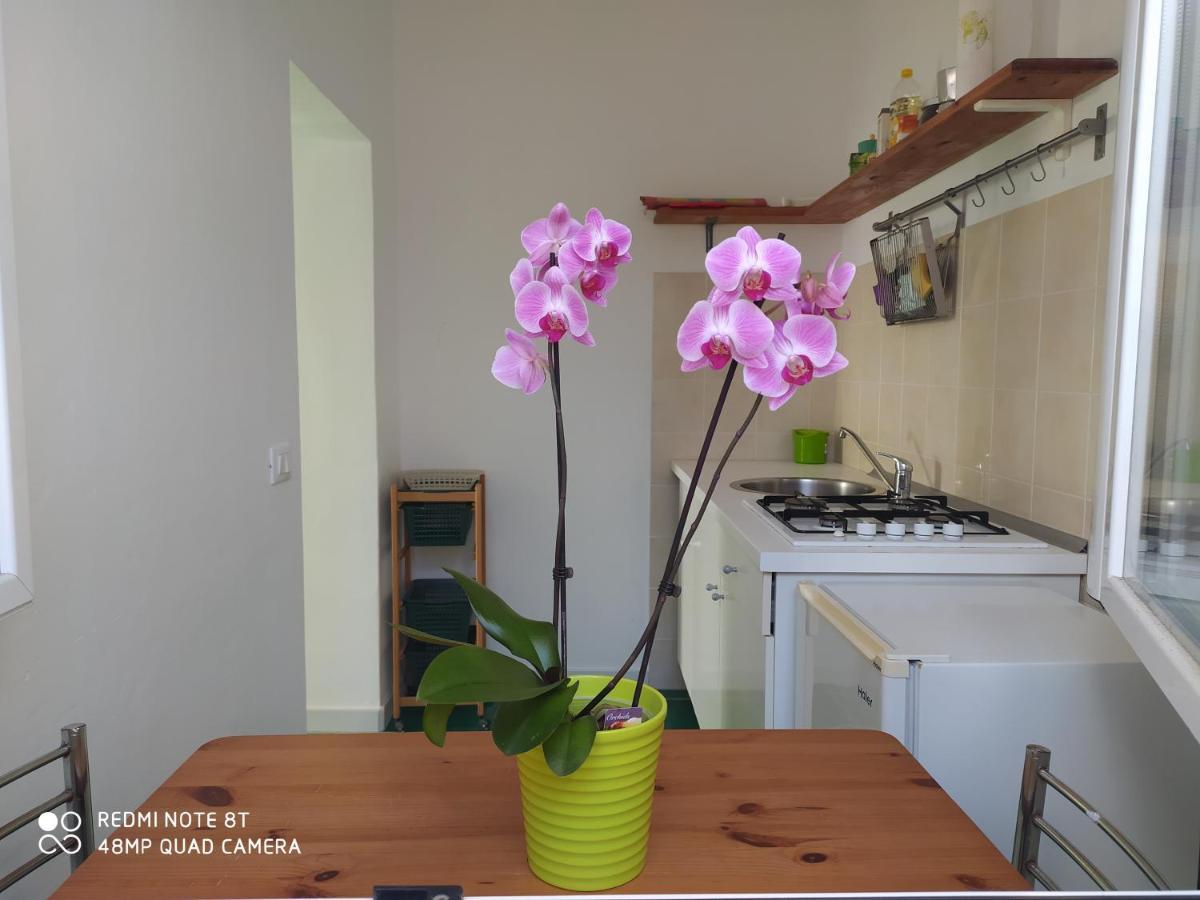 Casa Bianca Ischia Holiday home