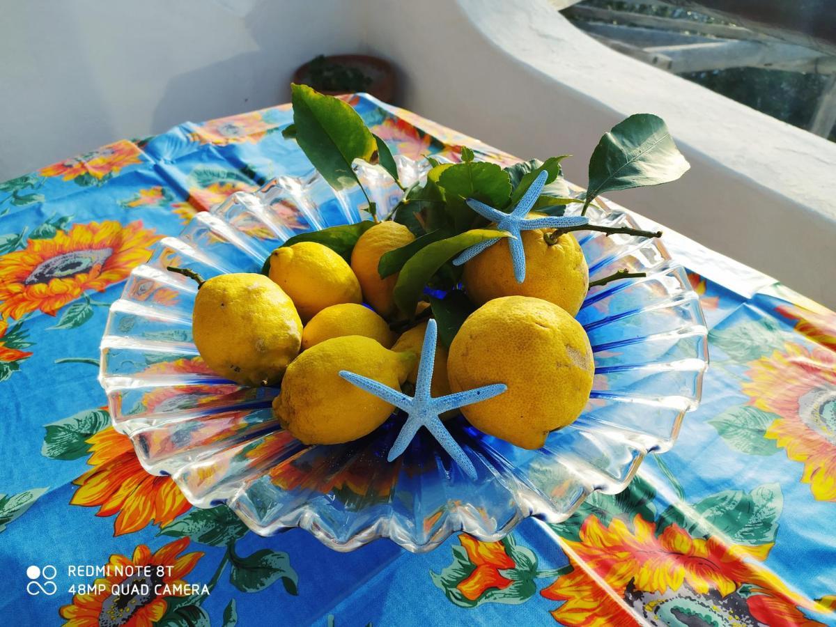 Casa Bianca Ischia Holiday home *